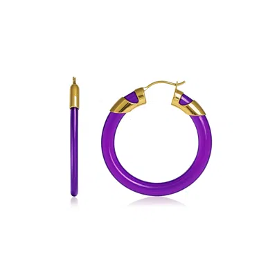 Gold & Honey Women's Gold / Purple Amethyst Classic Flat Lucite Birthstone Hoop Earrings
