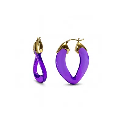 Gold & Honey Women's Gold / Purple Amethyst Curb Link Lucite Birthstone Hoop Earrings