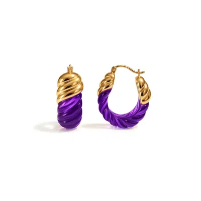 Gold & Honey Women's Gold / Purple Amethyst Rope Shrimp Lucite Birthstone Hoop Earrings