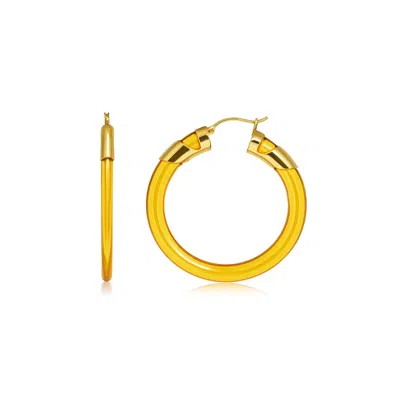 Gold & Honey Women's Gold / Yellow Citrine Classic Flat Lucite Birthstone Hoop Earrings