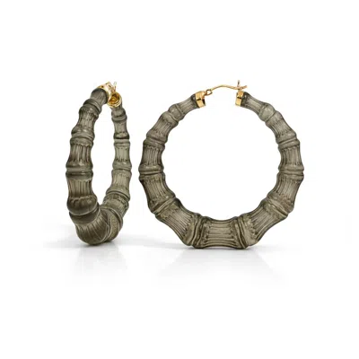 Gold & Honey Women's Lucite Bamboo Hoop Earrings In Blackberry