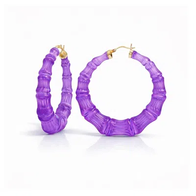 Gold & Honey Women's Lucite Bamboo Hoop Earrings In Purple Grape