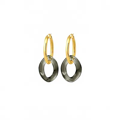 Gold & Honey Women's Lucite Curb Link Hoop Earrings In Blackberry In Gold