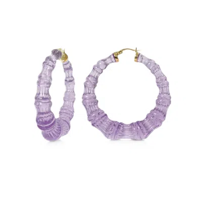 Gold & Honey Women's Pink / Purple / Gold Sheer Mauve Lucite Bamboo Hoop Earrings In Multi