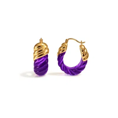Gold & Honey Women's Rope Shrimp Lucite Birthstone Hoop Earrings In February - Amethyst In Purple