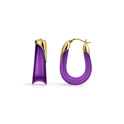 Gold & Honey Women's Gold / Purple Amethyst Sculpted U Lucite Birthstone Hoop Earrings