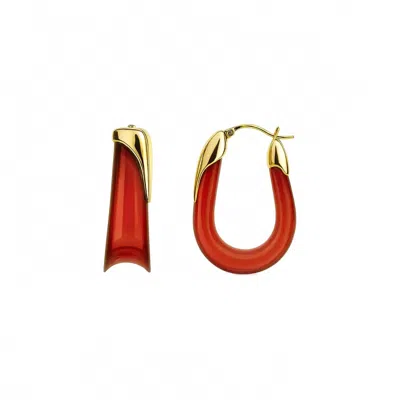 Gold & Honey Women's Sculpted U Lucite Birthstone Hoop Earrings In January - Garnet In Red