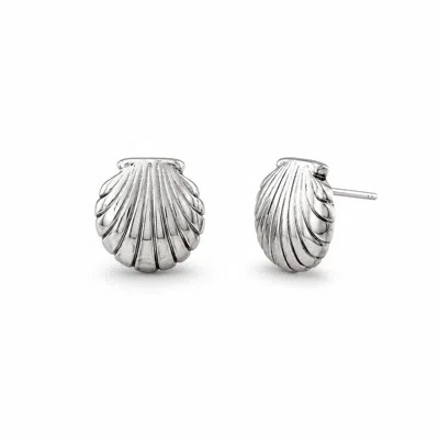 Gold & Honey Women's Silver Scallop Shell Stud Earrings