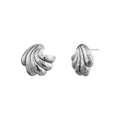 Gold & Honey Women's Silver Sculptural Shell Stud Earrings