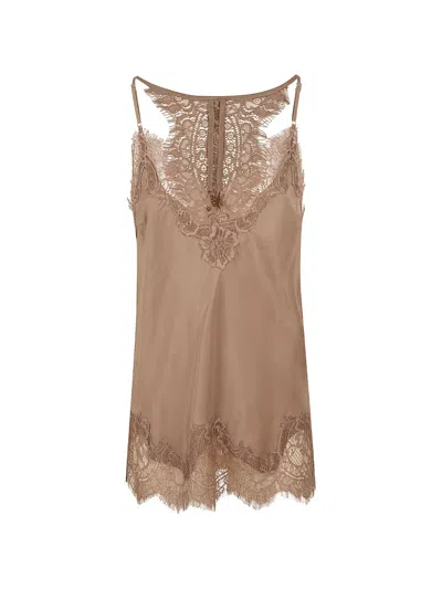 Gold Hawk Lace-trim Silk Camisole In Brown
