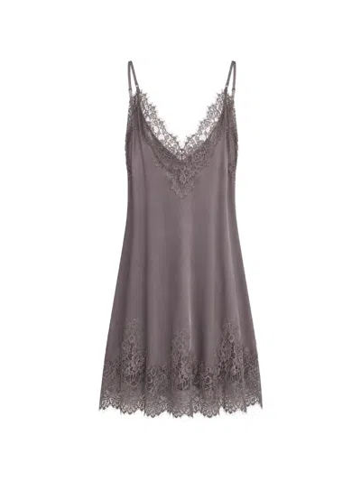 Gold Hawk Lace-trimmed Slip Dress In Gray