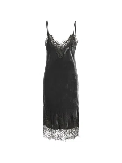 Gold Hawk Velcet Coco Lace-trim Midi Dress In Black