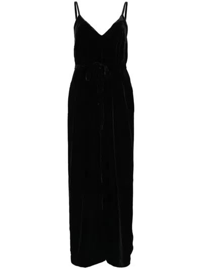 Gold Hawk Velvet Jumpsuit In Black