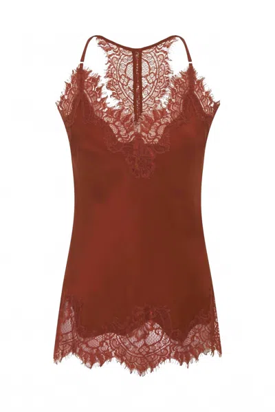 Gold Hawk Women's Lucy Lace Silk Trim Cami In Cinnamon In Brown