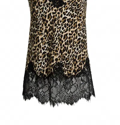 Gold Hawk Women's Velvet Lace Cami In Cheetah In Multi