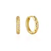 Gold Trip Women's Celeste Huggie Hoops In Gold In Gold