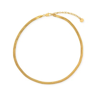 Gold Trip Women's Long Snake Chain Necklace In Gold