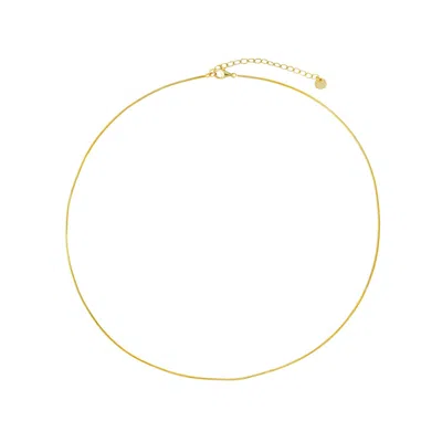 GOLD TRIP WOMEN'S SKINNY HERRINGBONE CHAIN NECKLACE IN GOLD