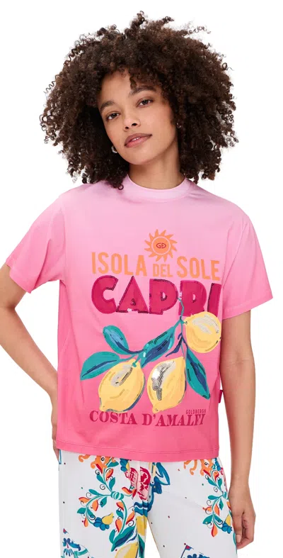 Goldbergh Loredana Short Sleeve Top Italian Rose In Pink