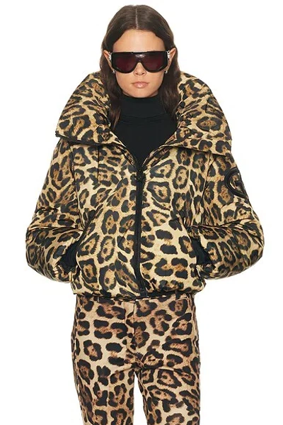 Goldbergh Pantera Leopard-print Hooded Padded Recycled Down Ski Jacket In Animal Print