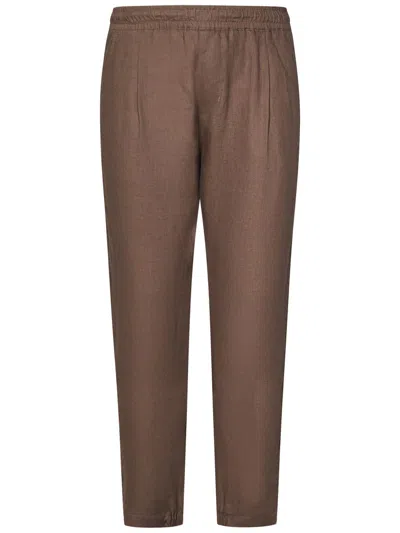 Golden Craft Trousers In Brown