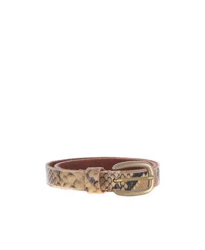 Golden Goose Animal-print Buckle Belt In Pitonato
