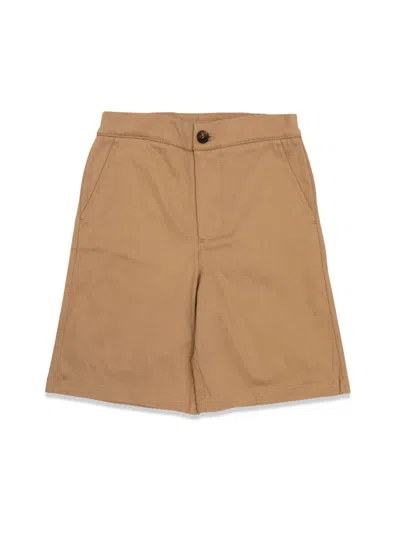 Golden Goose Baby Short Pants In Brown