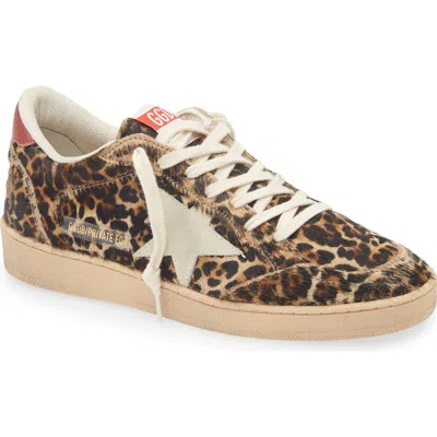 Golden Goose Ball Star Genuine Calf Hair Sneaker In Leopard/ice/red