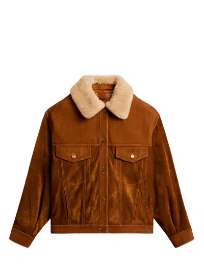 Golden Goose Coats In Tobacco Brown