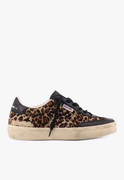 Golden Goose Db Soul-star Leopard Print Low-top Sneakers In Animal Print