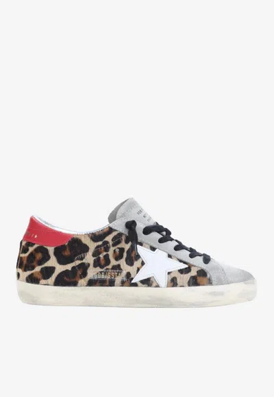 Golden Goose Db Superstar Leopard Low-top Sneakers In Multi