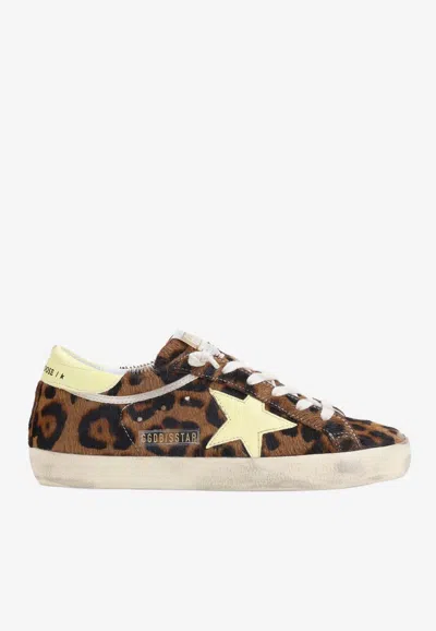 Golden Goose Db Super-star Leopard Print Low-top Sneakers In Multi