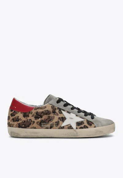 Golden Goose Db Super-star Leopard Print Sneakers In Animal Print