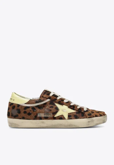 Golden Goose Db Super-star Leopard Print Sneakers In Brown