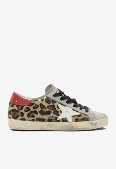 Golden Goose Db Super-star Leopard Print Sneakers In Multi
