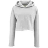 Golden Goose Hoodie In Gray