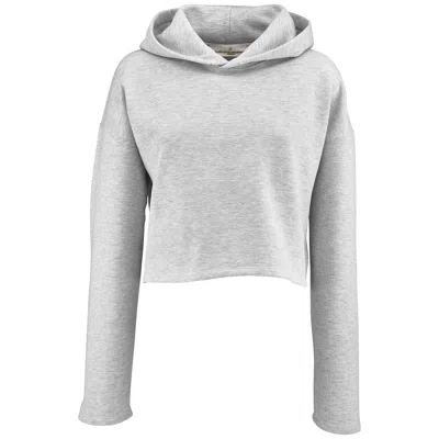 Golden Goose Hoodie In Gray