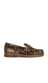 Golden Goose Jerry Genuine Calf Hair Loafer In Beige Brown Leo