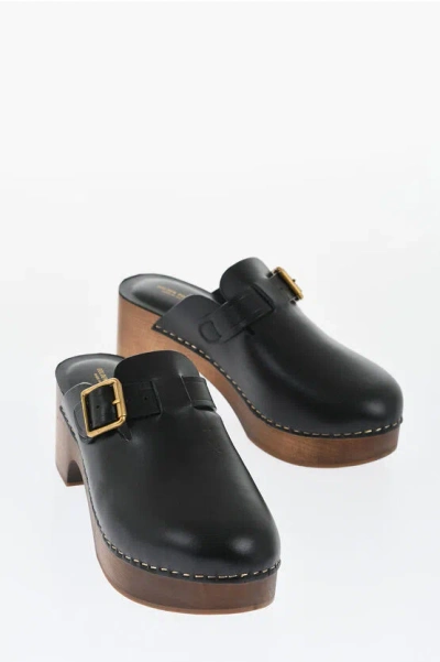 Golden Goose Leather Provence Clogs With Golden Buckle Heel 6.5cm In Black