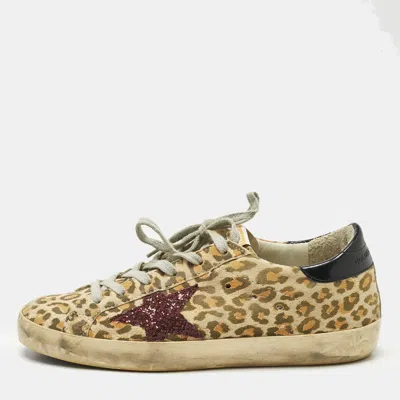 Pre-owned Golden Goose Multicolor Nubuck Leather Superstar Lace Up Sneakers Size 37