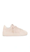 Golden Goose Suede Pure Star Sneakers In Blush