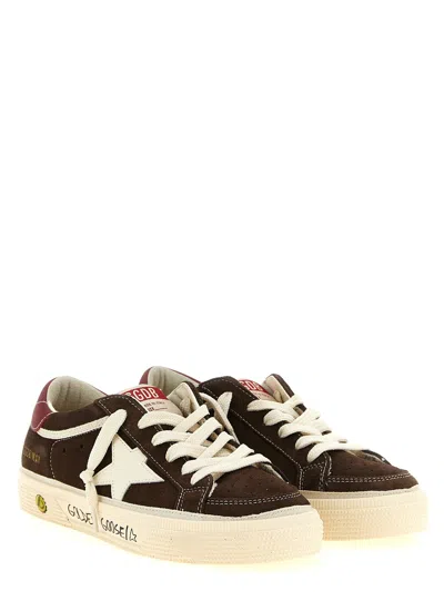 Golden Goose Sneaker In Brown