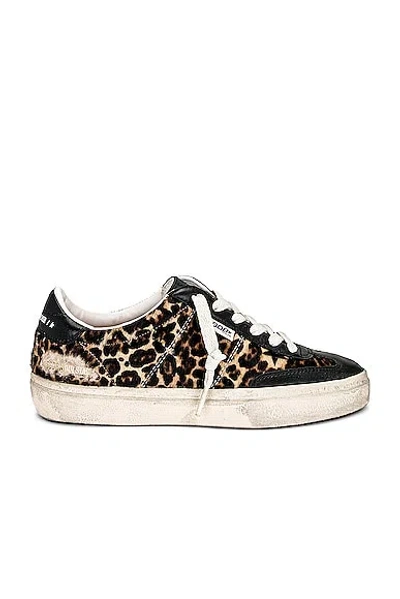 Golden Goose Superstar Sneakers In Brown