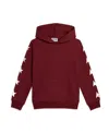 Golden Goose Star-print Cotton-blend Hoodie In Brown