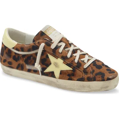 Golden Goose Leopard-print Pony Skin Super-star Sneakers In Brown