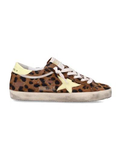 Golden Goose Super Star Sneakers In Brown