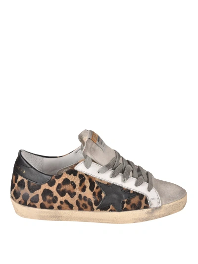 Golden Goose Superstar Sneakers In Animal Print