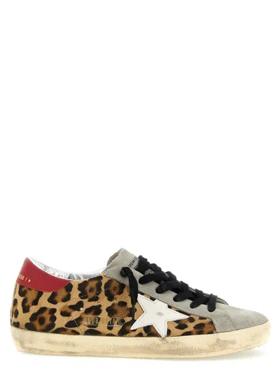 Golden Goose Leopard Print Cavallo Super-star Sneakers With Star And Leather Heel In Brown