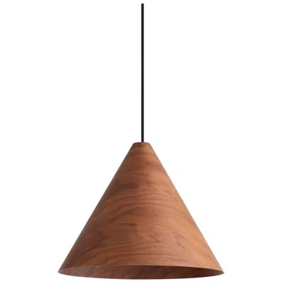 Golden Lighting Conique 2-light Pendant In Dark Walnut