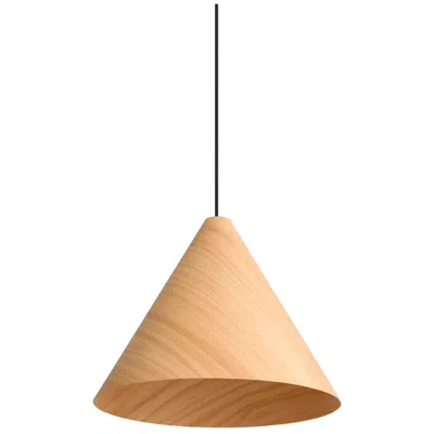 Golden Lighting Conique 2-light Pendant In Light Walnut